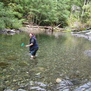 opal creek22