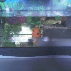 Foto's 0112