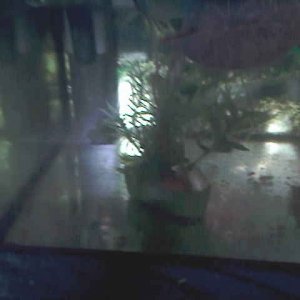 Foto's 0113