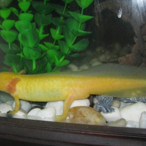 IMG 0740