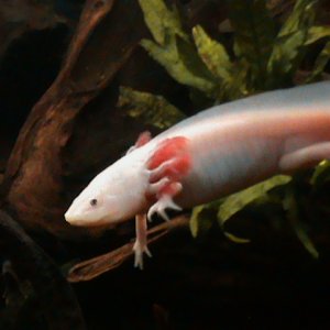 DSC00215