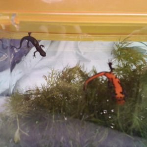 us in our traveling box!