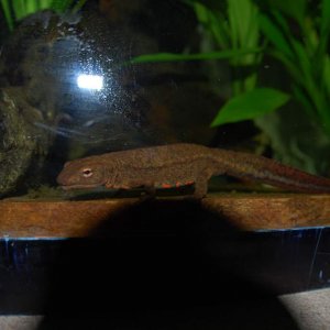 DSC 0166