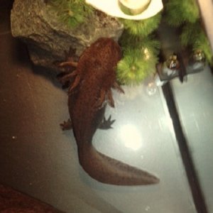 18/11/2010  she's improving