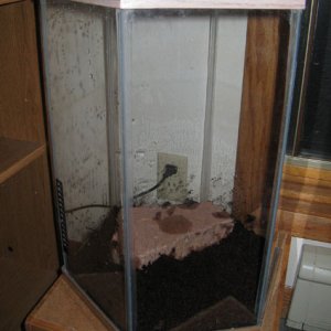 shrimp tank1 - initial layer of dirt, plus the base rock.