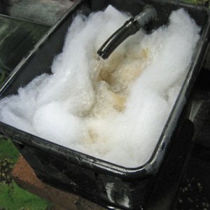 homemade filter7 - inside with filter floss