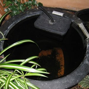 homemade 2nd filter1 - another filter of the same type installed in my pond