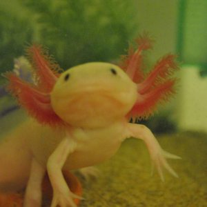 DSC 0571
