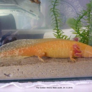 It appears now that this Male is a female!!.