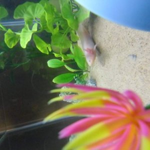 jeez save some light for your plants! :3