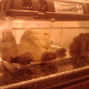 Aquarium