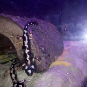 IMG 20110105 211358