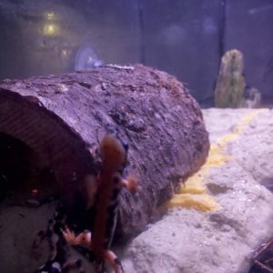 IMG 20110105 211433