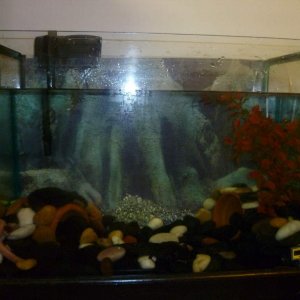 tank