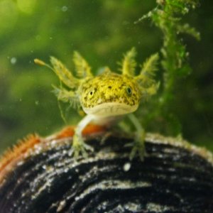 Im watching you. where,s the food?