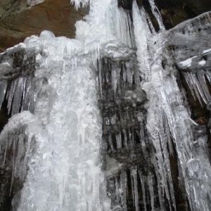 DSCN2225