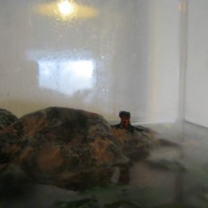 Timmy, King of the rock!