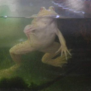 Close up of UpChuck