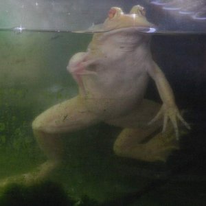 IMG 0320