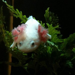 Nicely wedged in a plant