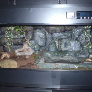 Vivarium finished and occupied.