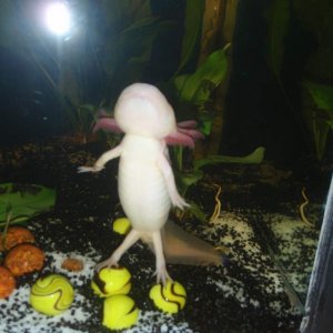 " Im so big! " :)