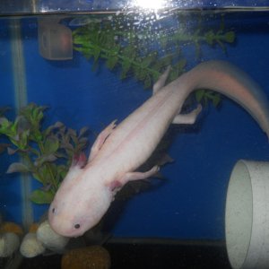 Having of a little swim. :)