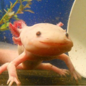 Smiling after food. :D