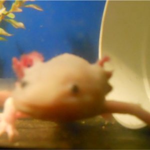Dancing!!!