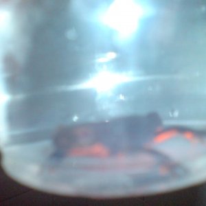 DSC04070