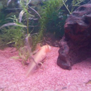 IMG 20110216 125041