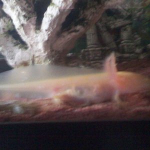 IMG 20110216 154234