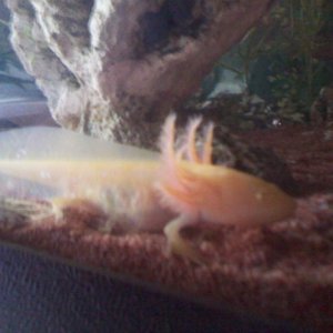 IMG 20110216 154241
