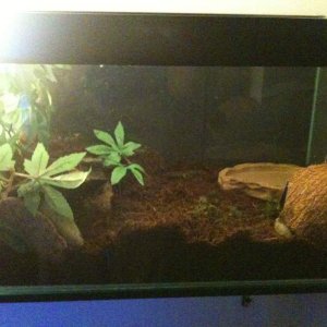 IMG 0608[1]