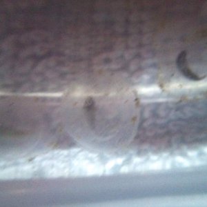 DSC 0554