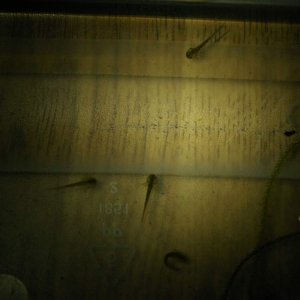 IMGP3155