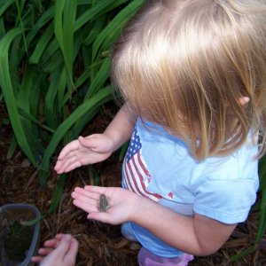 we went in our backyard collected animals and then released them...I am trying to cultivate a scientist