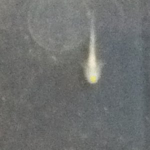 Better close up, hard to get a very clear pic yet!