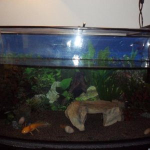 tank