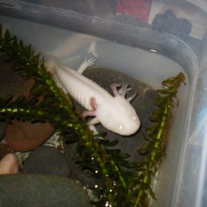 Another of MO or Missy maybe Melody?