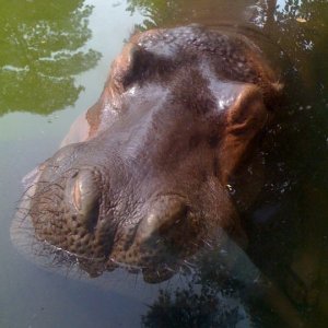 Lolz not my pet but i wish it was c: its a pic from the zoo :D