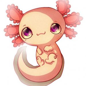 axolotl by fox feathers d3arnz9