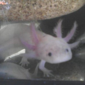Morgan being photogenic.