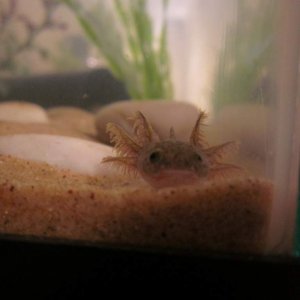 Duncan being sneaky