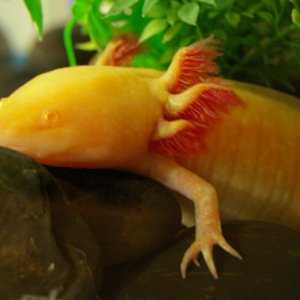 Just chillin'