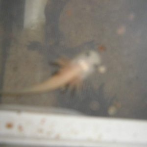 P1010152