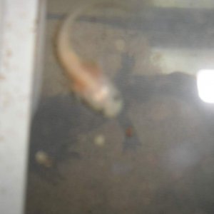 P1010151