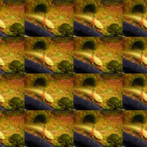 lots of pixie