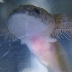 IMG 3787