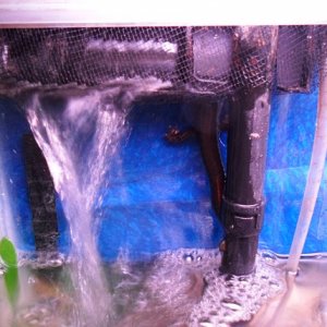 Cameron tries so hard, but just can't get out